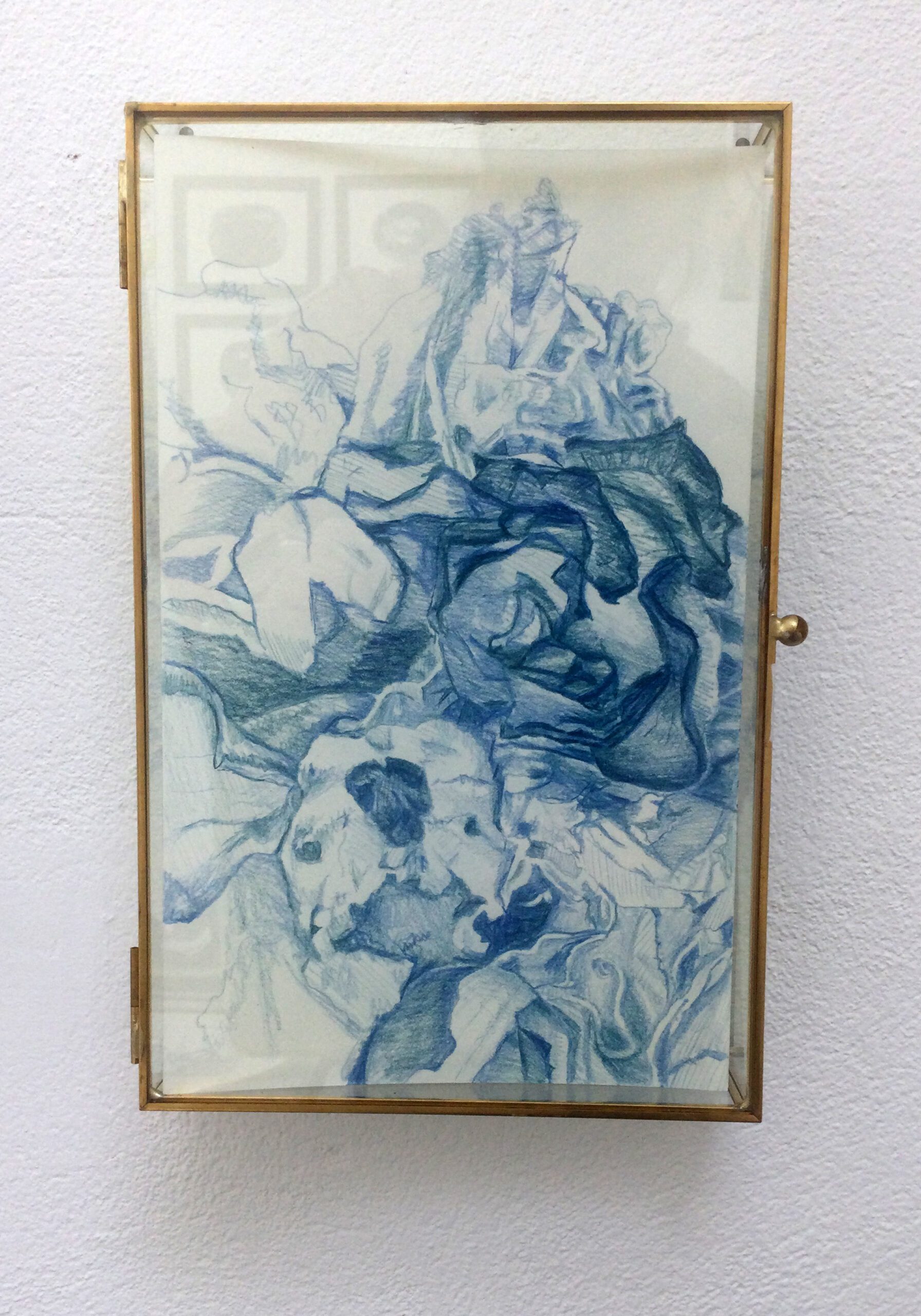 Opløste blå roser 1 box